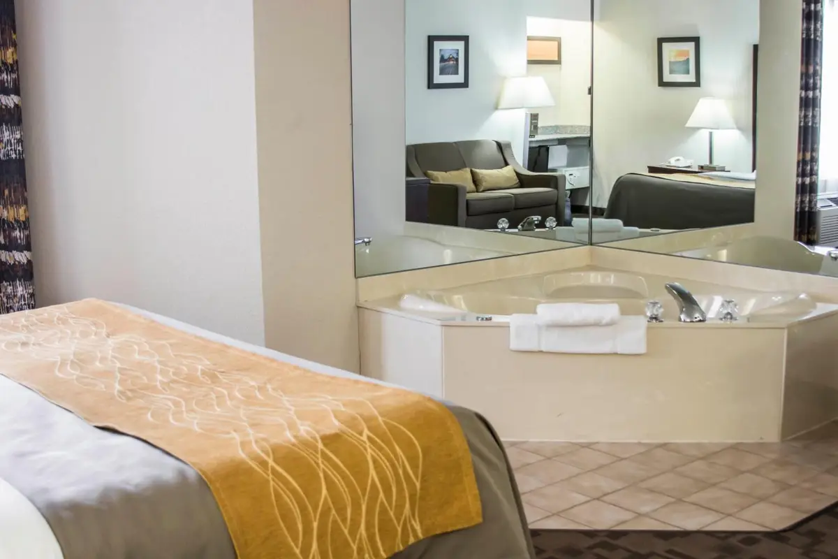 Comfort Inn hotel photo 1 in Birch Run, Michigan