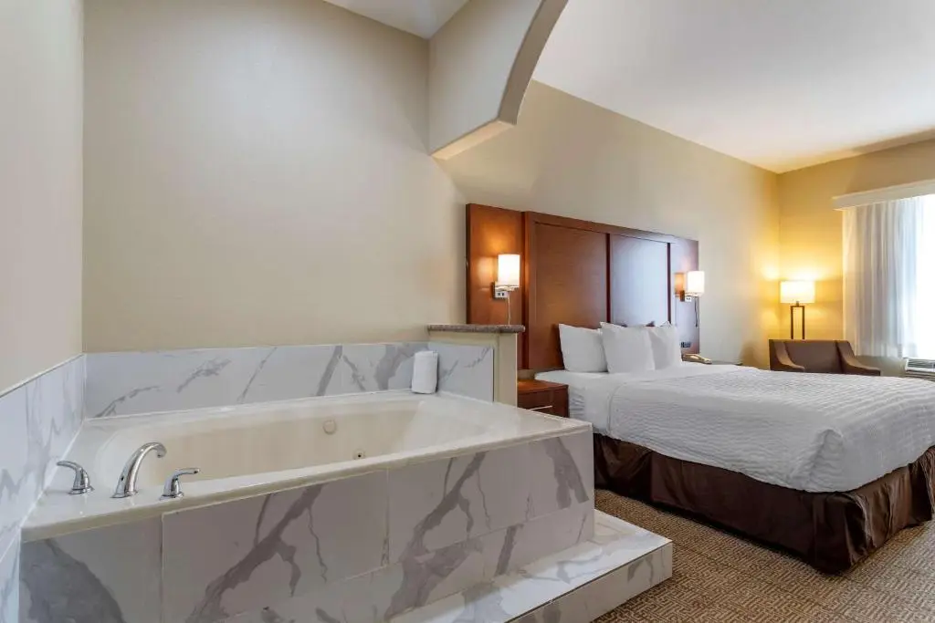Comfort Suites Near Texas Medical Center - NRG Stadium hotel photo 1 in Houston, Texas